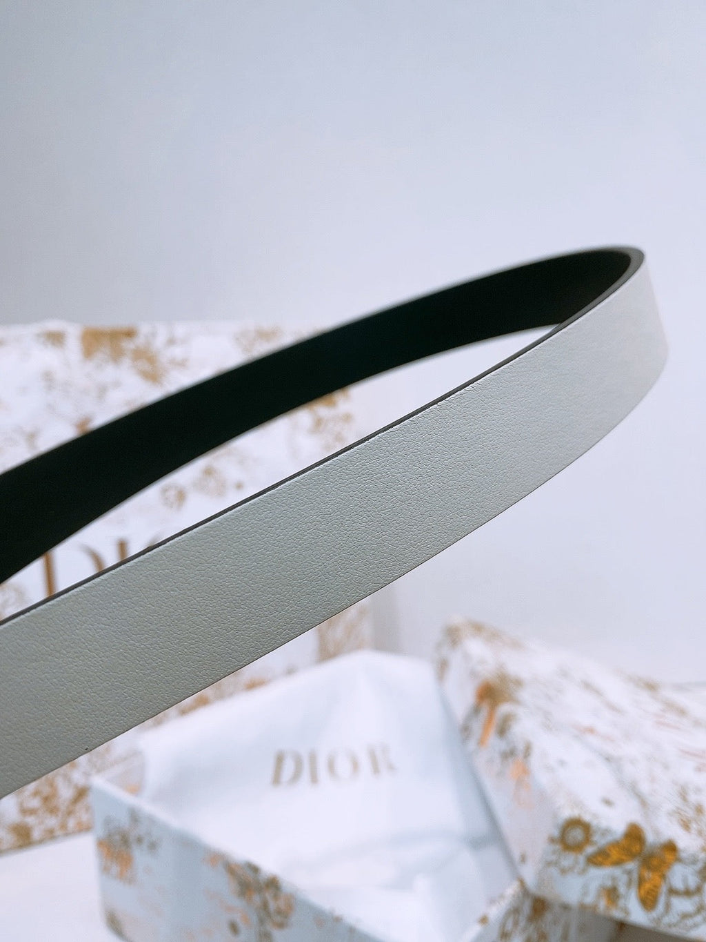 DIOR 25S BELT 20 MM IN WHITE CALFSKIN 572896